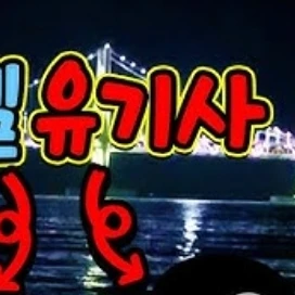 유기사