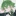 シダ