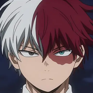 Profile image of Todoroki