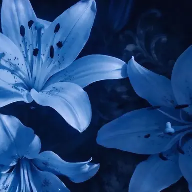 Profile image of 영혜