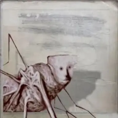 Profile image of 엄버