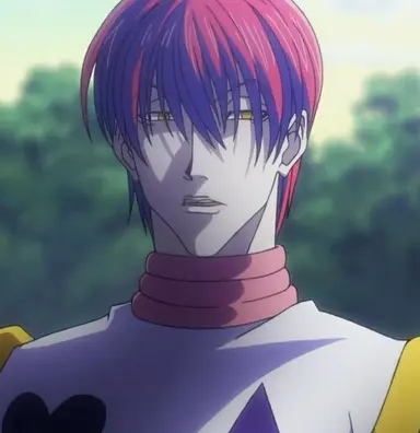 Profile image of ヒソカ