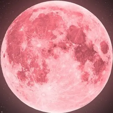 Profile image of 大我
