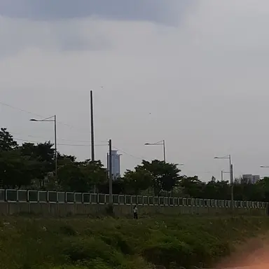 Profile image of 공룡
