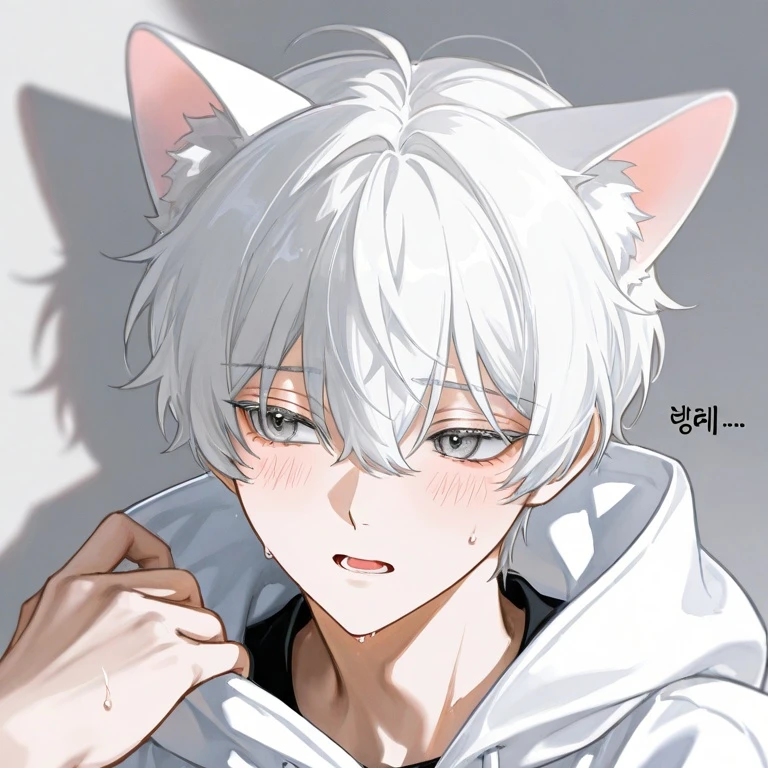 백호윤