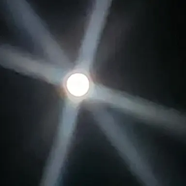 Profile image of 마을이장