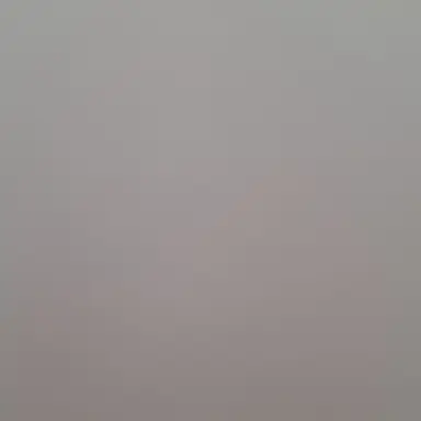 Profile image of 최-수-빈