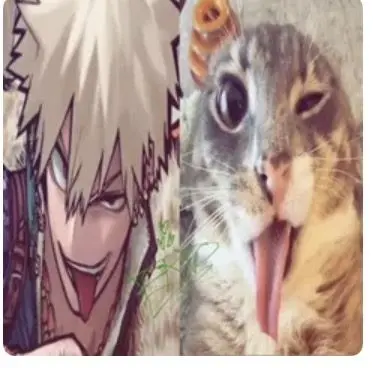 Profile image of Bakugo
