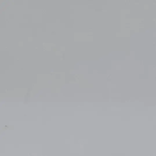 RunnySage0306의 最後のオムライスはまだ冷めない