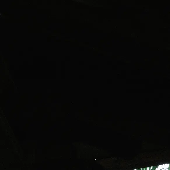 FustyMiki5501의 ㅊㅅㅊ