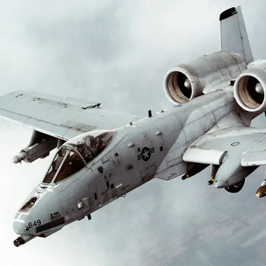 Profile image of A-10