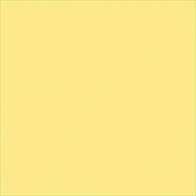 Profile image of ぺいんと