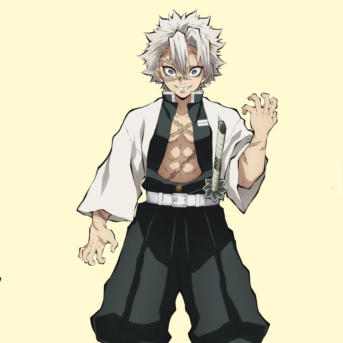 시나즈가와 사네미