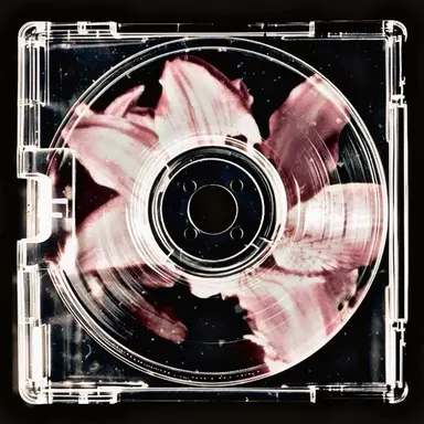 Profile image of 박도현