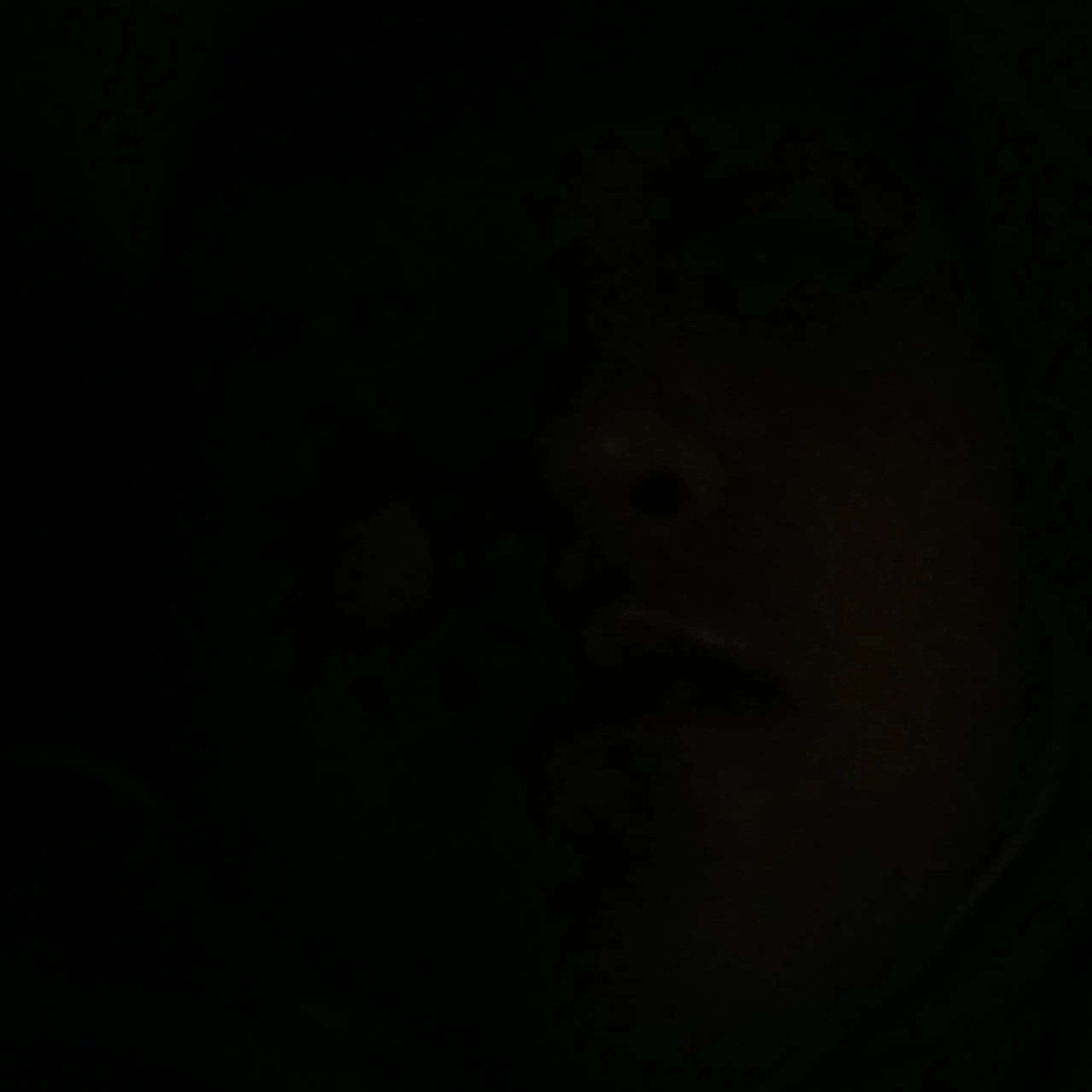 Psji_2의 박성오