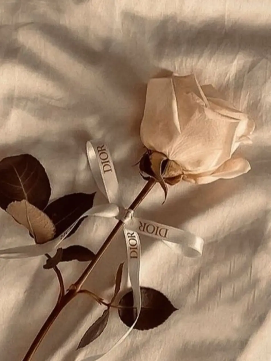 miougi_910의 傷だらけの君が好きだよ。