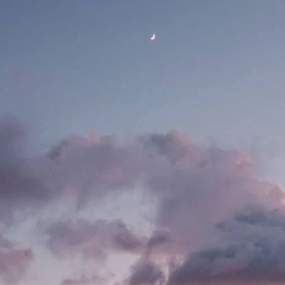 リブ
