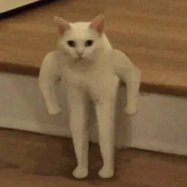 Profile image of メディカル