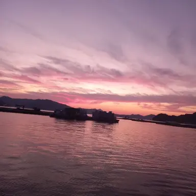 Profile image of 구여우