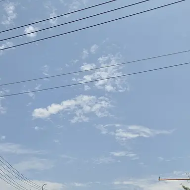 Profile image of 잠뜰