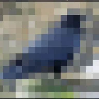 Profile image of Void