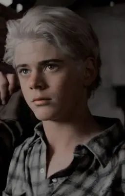 Profile image of Ponyboy Curtis