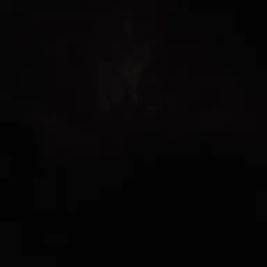 Profile image of 잭