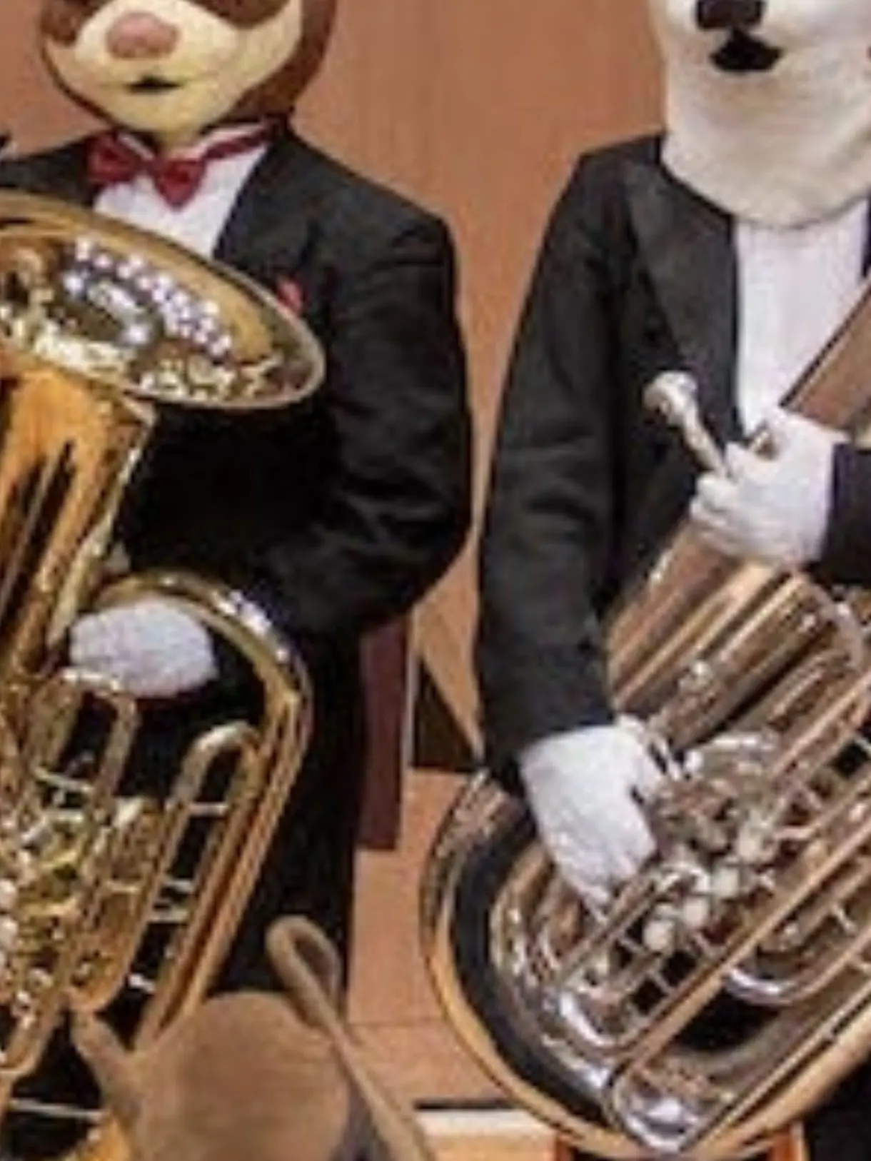 Lua_una의 Tuba Share House