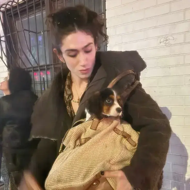 GuiltyBurp7842의 Fabian