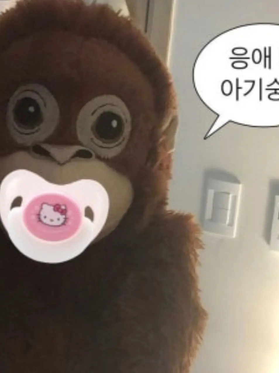 zz_ui의 수학여행+여우