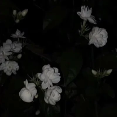 경