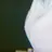 김민지