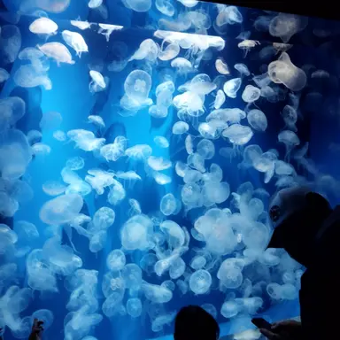 Profile image of 元貴。