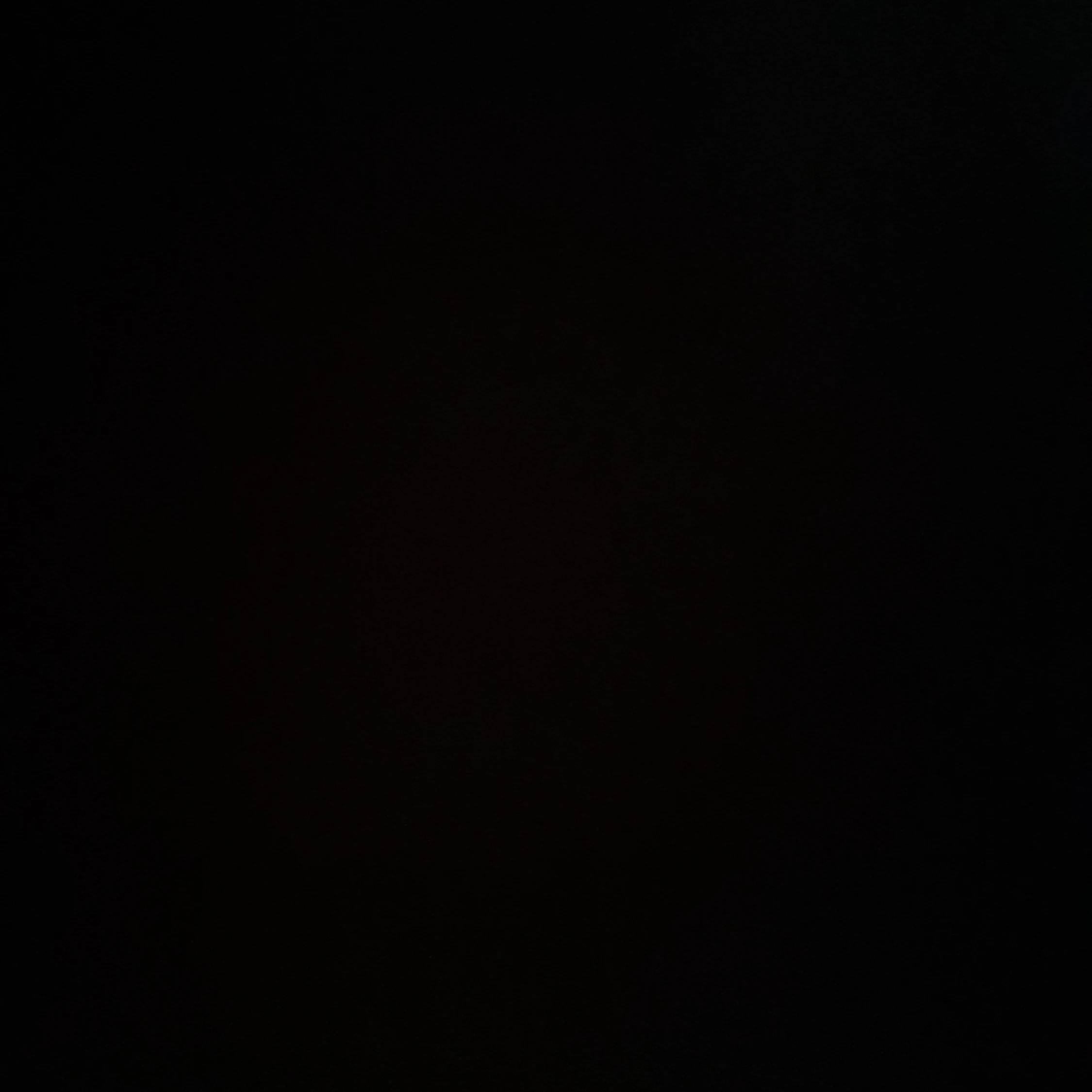 여우
