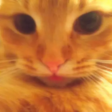 Profile image of Jjoman