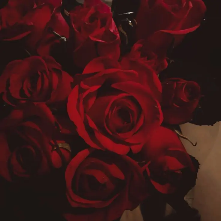 LightNurse0685의 The Cursed Prince's Garden