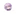 버니버니
