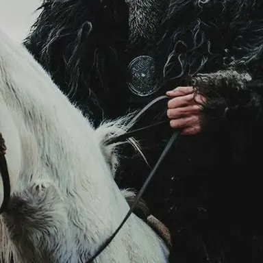 Profile image of 션 오프라이