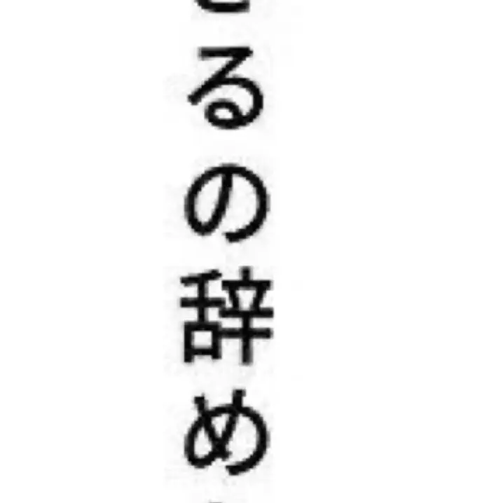 Sdaaaj의 愛を探す