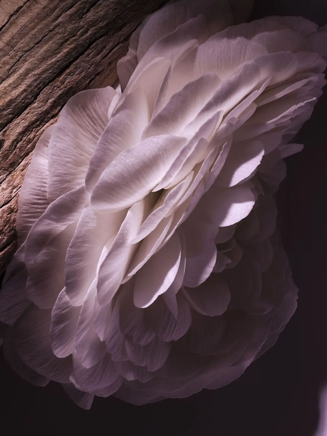 DaftGuest1140의 🍫