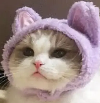 Profile image of Angus