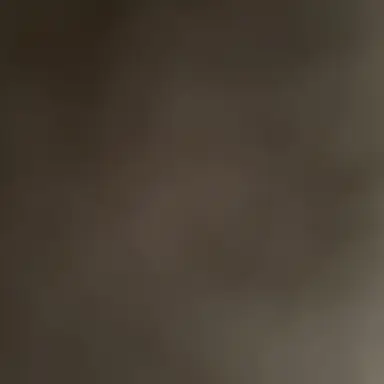 Profile image of 라경사