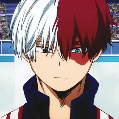 Profile image of Todoroki