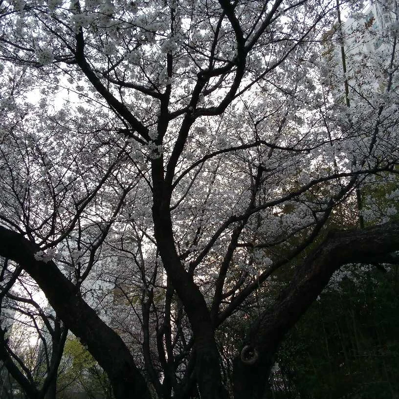 도훈
