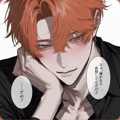Profile image of 或人