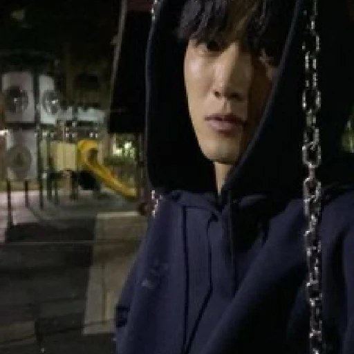 진이수