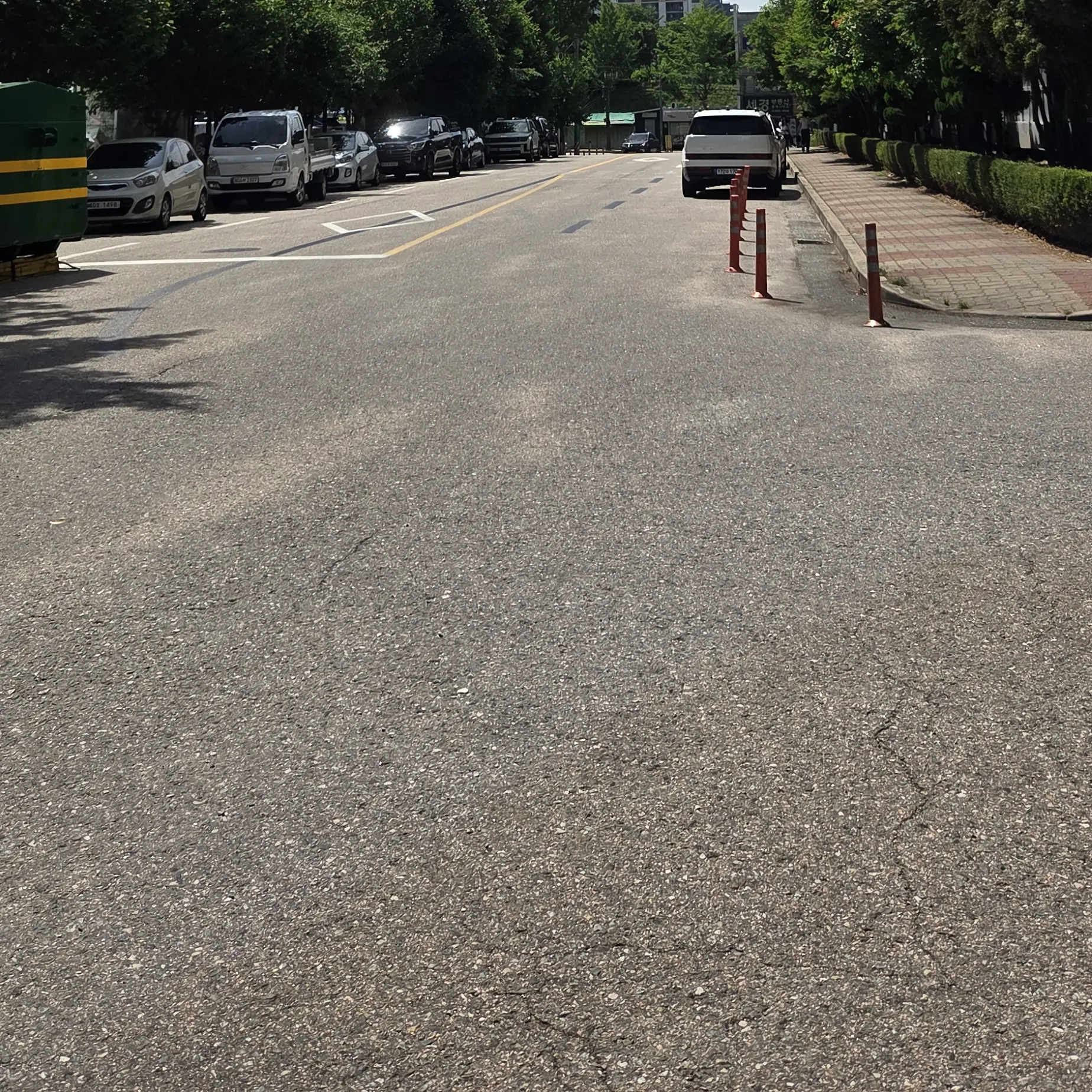 MatureMedal5761의 꿈뜰학교시리즈-픽셀리선생님