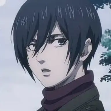 Profile image of ミカサ
