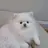 이솜(Som)