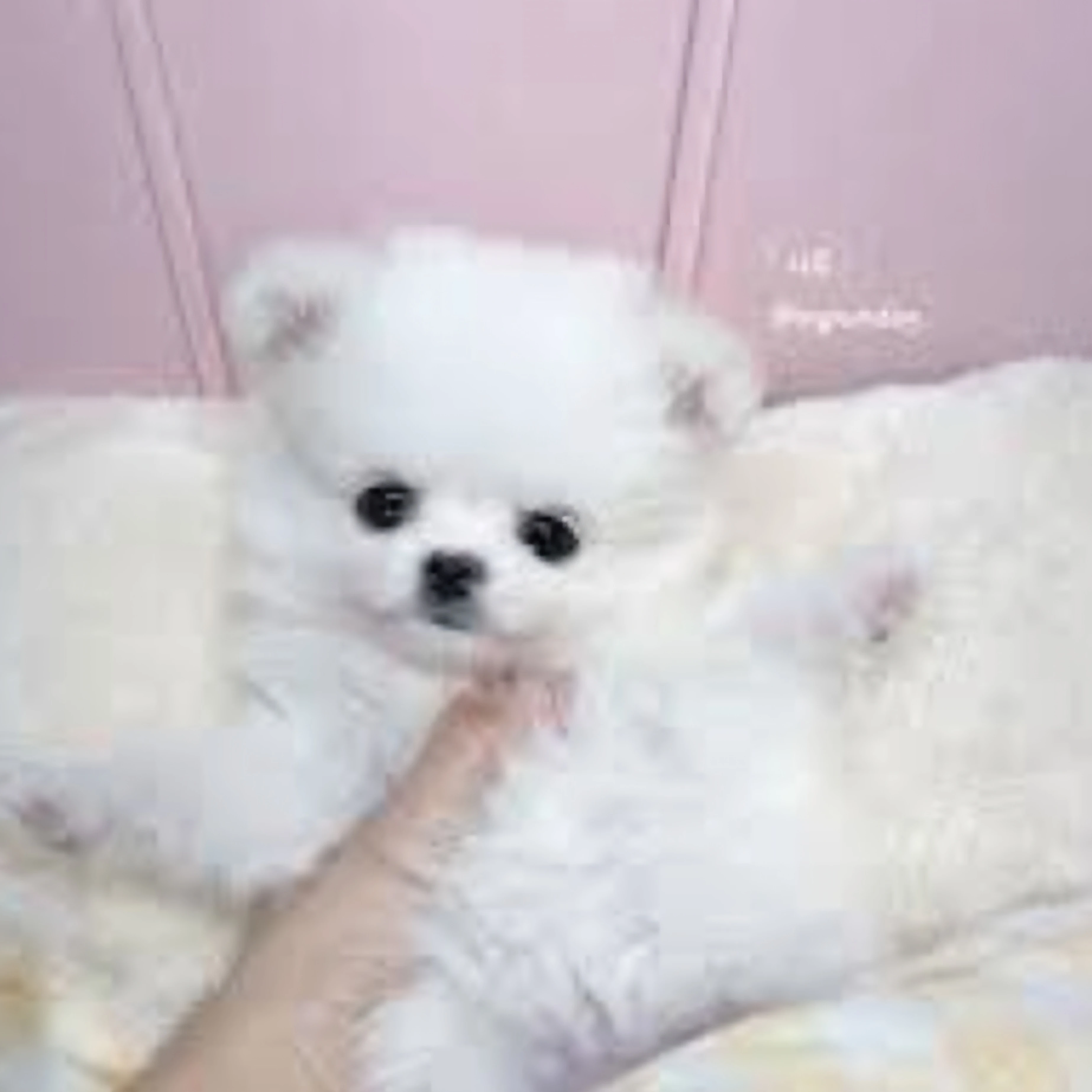 이름 아직 없음
